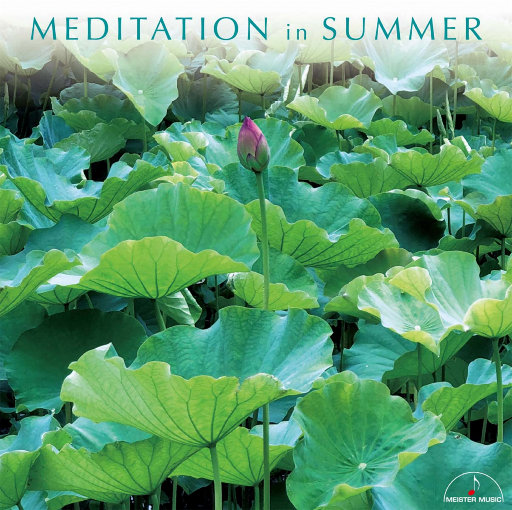 小豆小豆儿 找个黄色录像看看
